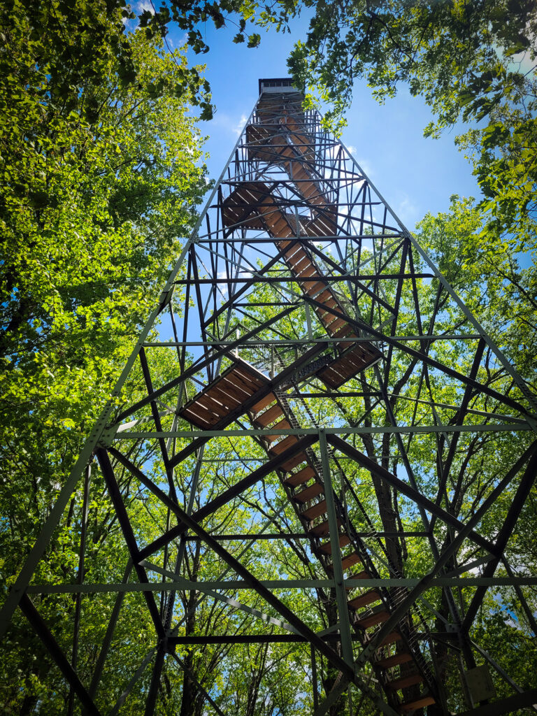 Fire Tower at St. Croix State Park