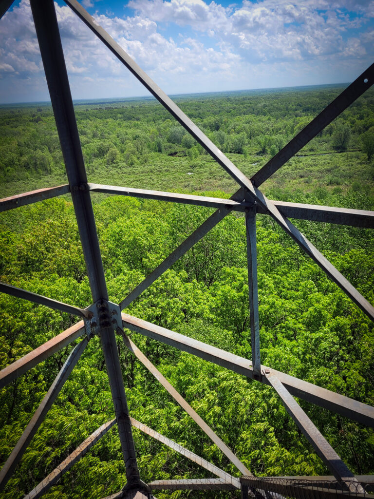 Fire Tower at St. Croix State Park