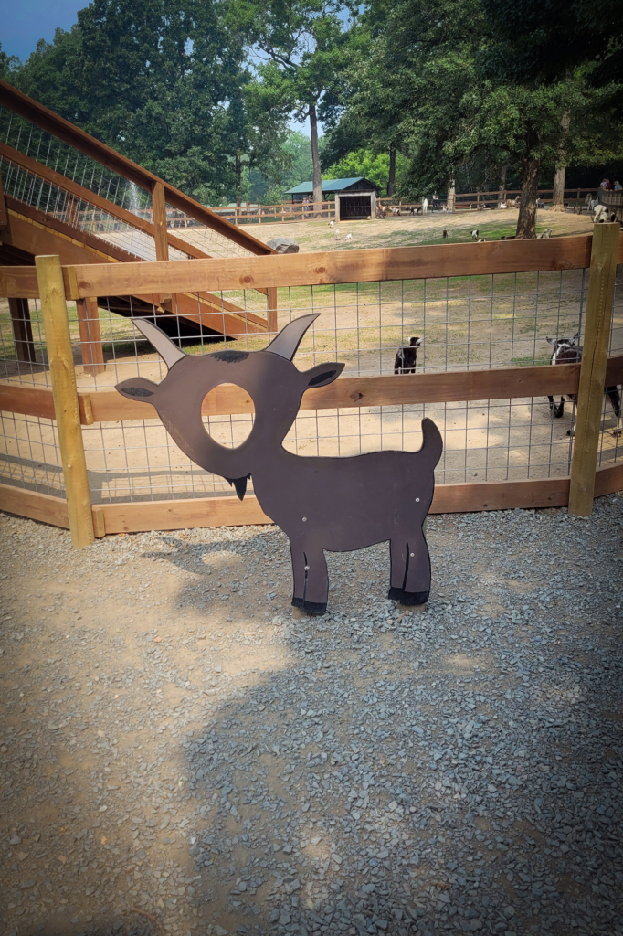 Goat Photo Stand in at Fawn Doe Rosa