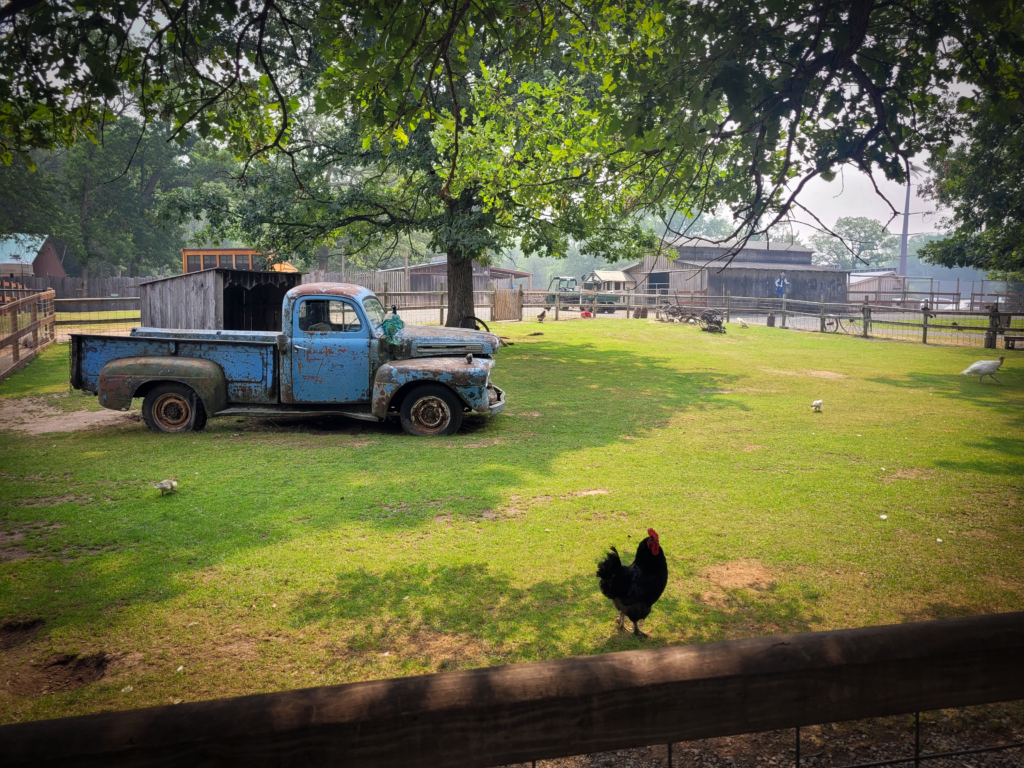 Farm Yard Scene with Chickens and Truck at Fawn Doe Rosa