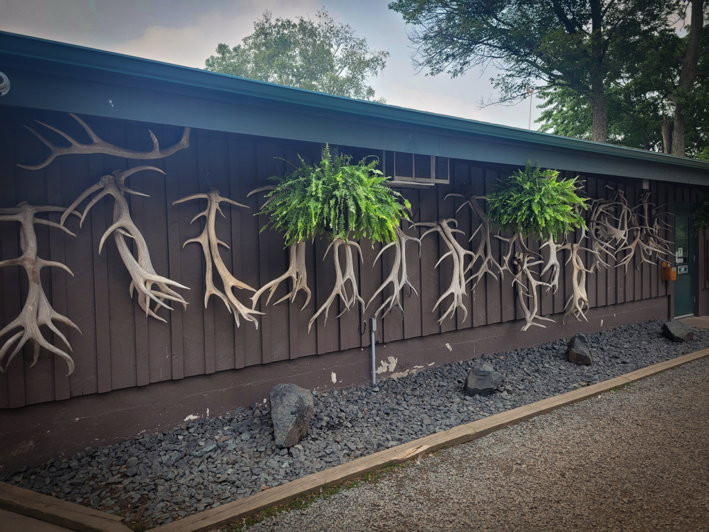 Numerous antlers hanging from building at Fawn Doe Rosa