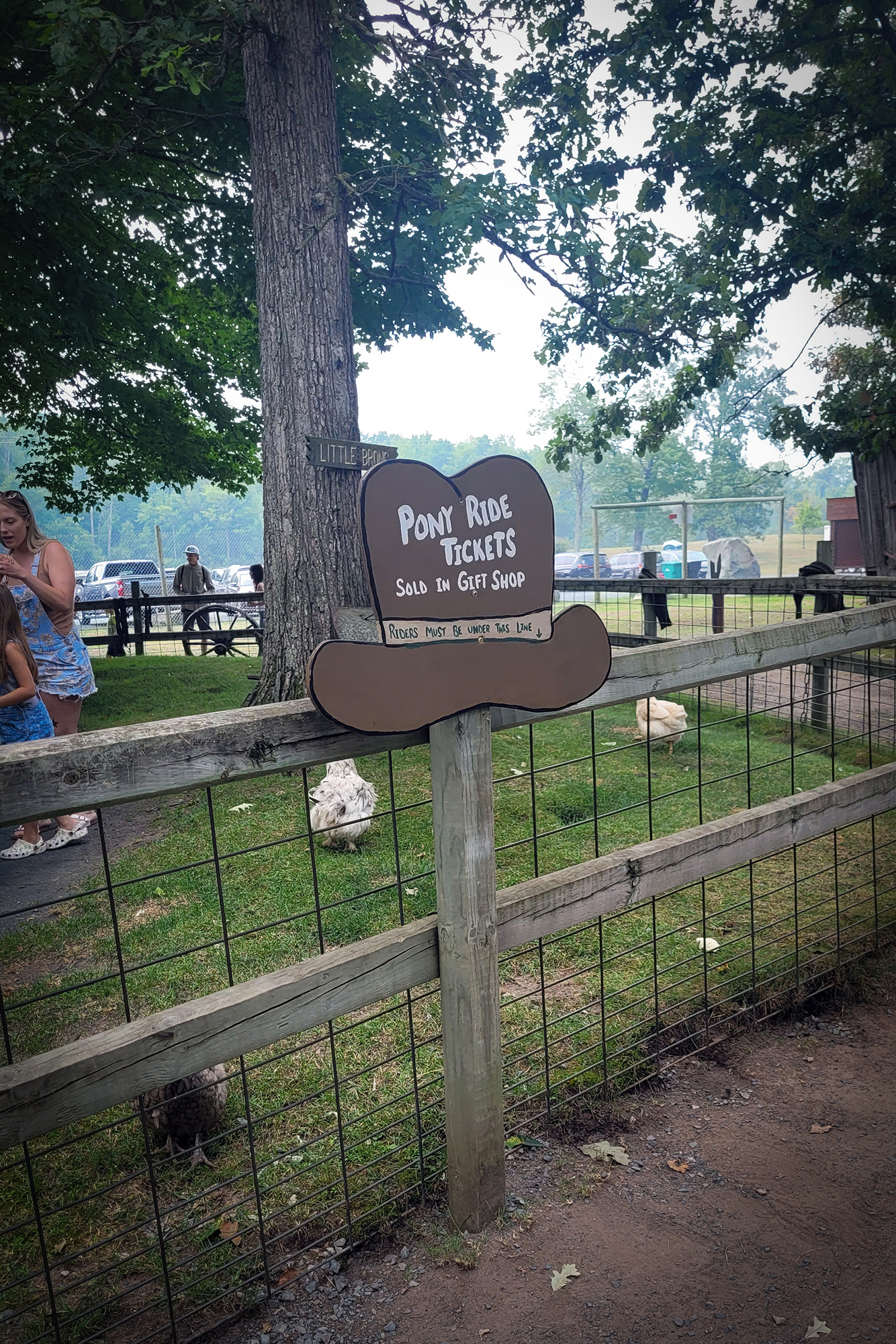 Pony Ride Tickets Sign