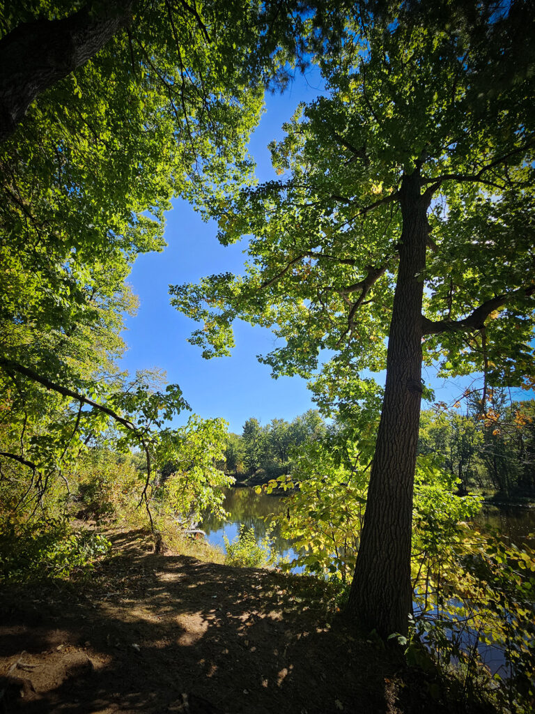 Hiking trail at St. Croix State Park